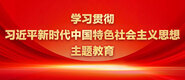 黄片操操操操操操操操操逼逼逼逼逼逼逼逼逼学习贯彻习近平新时代中国特色社会主义思想主题教育_fororder_ad-371X160(2)